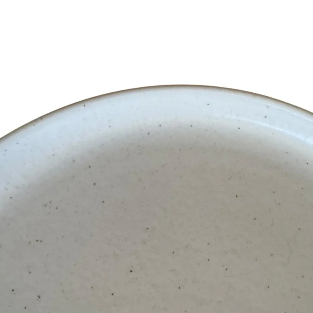 Casafina Ceramic Stoneware 10.5 Dinner Plate Pacifica Collection Vanilla Speckle - Picture 7 of 13